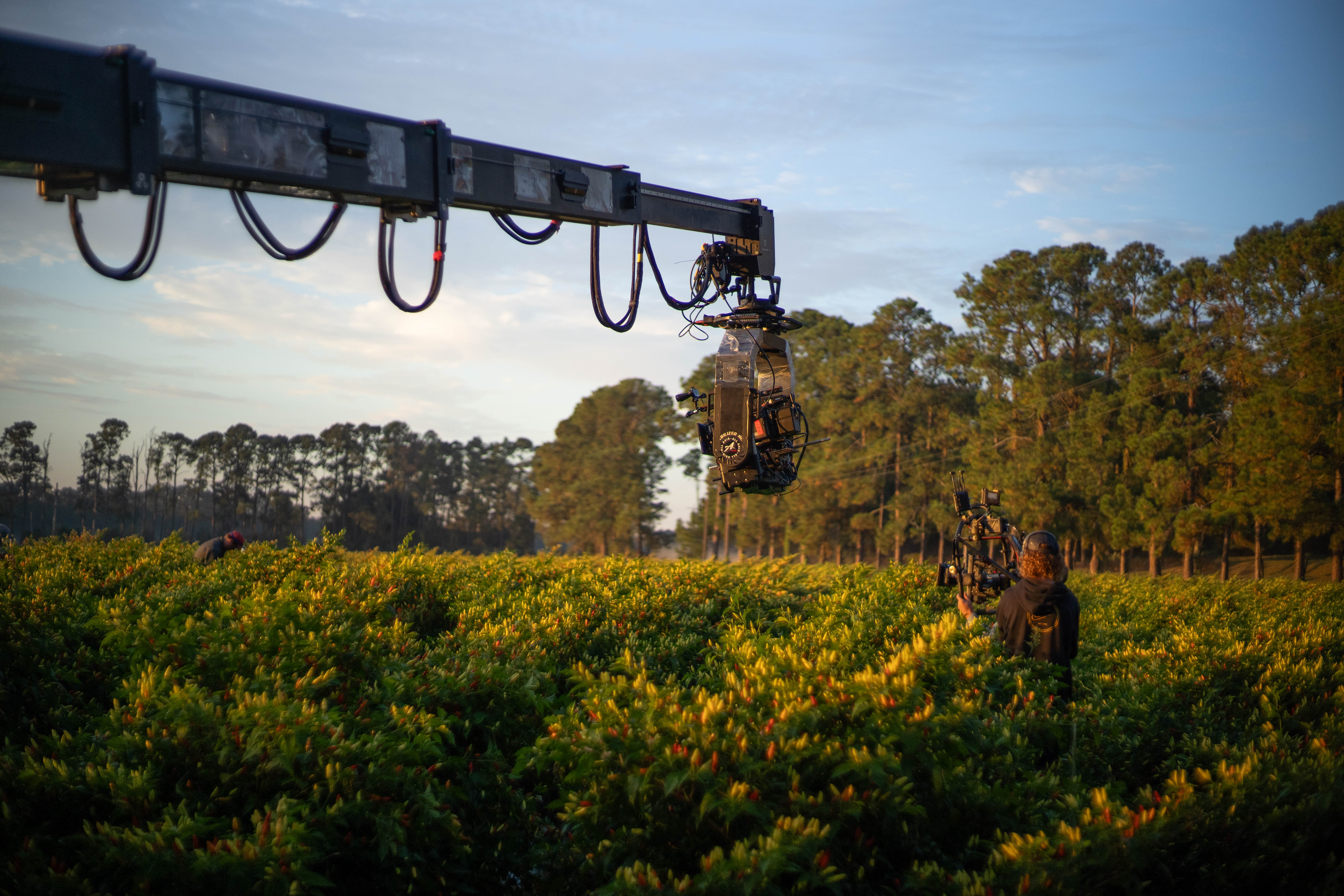 Avery Island
